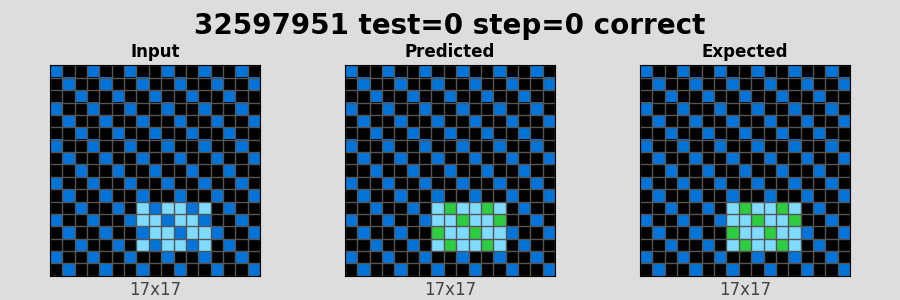 32597951_test0_step0_correct.png