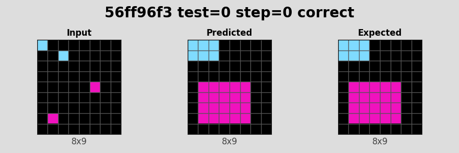 56ff96f3_test0_step0_correct.png