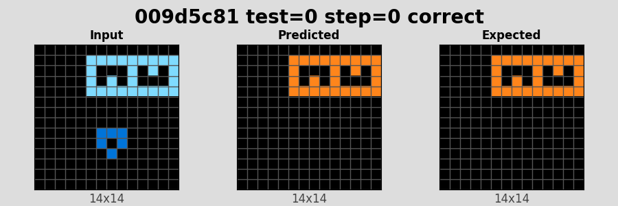 009d5c81_test0_step0_correct.png