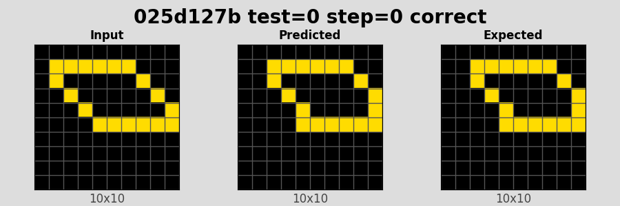 025d127b_test0_step0_correct.png