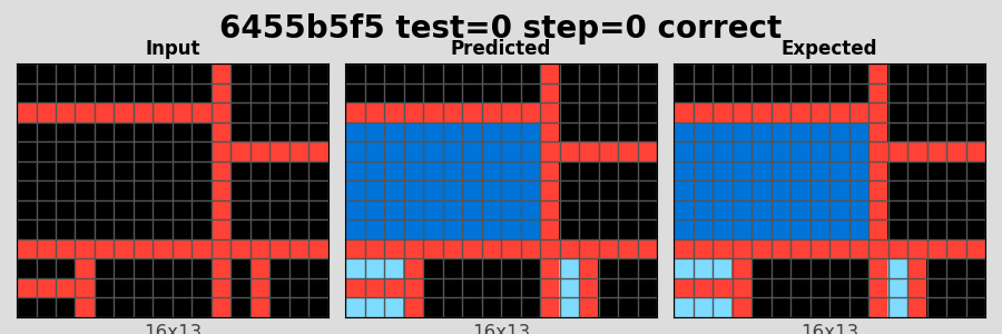 6455b5f5_test0_step0_correct.png