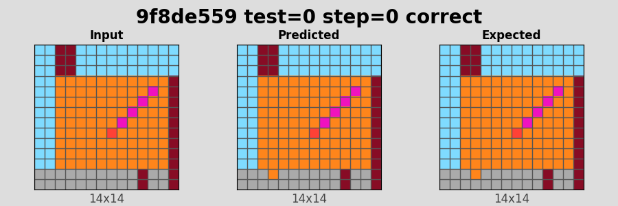 9f8de559_test0_step0_correct.png