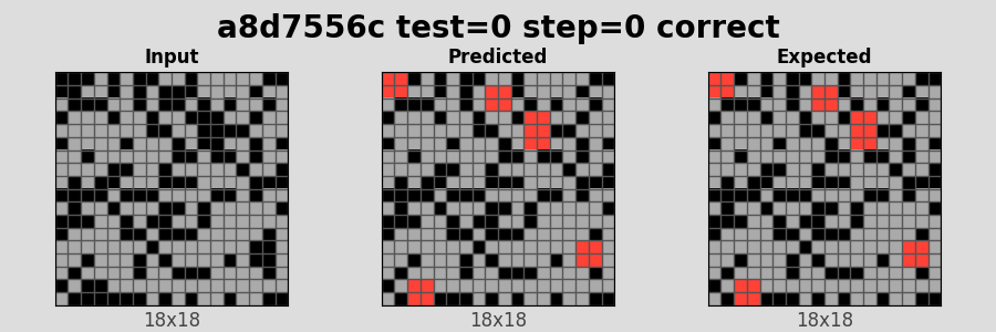 a8d7556c_test0_step0_correct.png