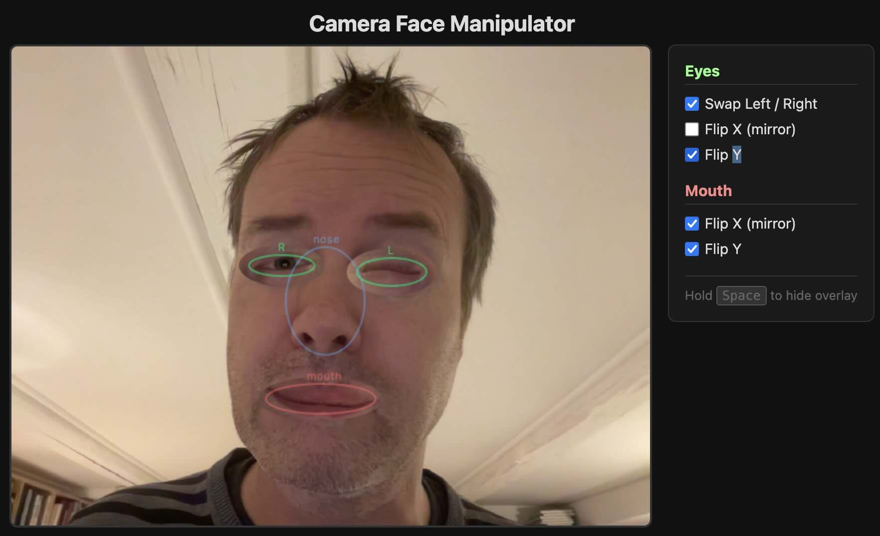 Camera Face Manipulator